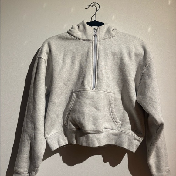 TNA Tops - TNA Light Gray Crop Sweatfleece Hoodie